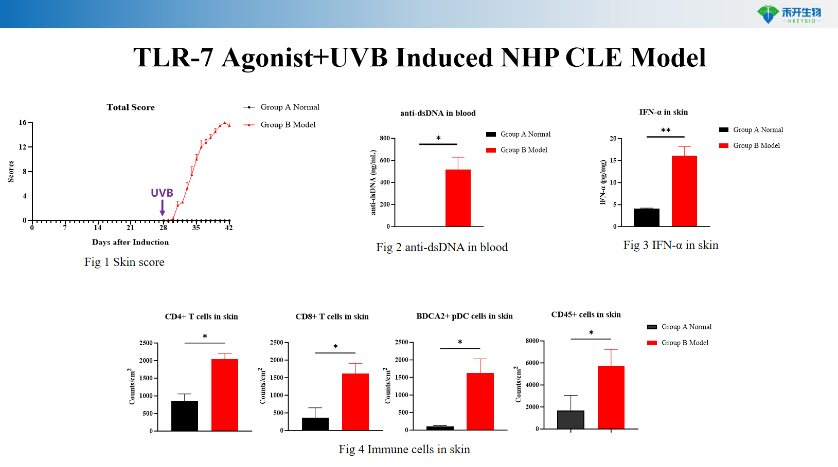 TLR-7 Agonist+UVB Induced NHP CLE Model01 1