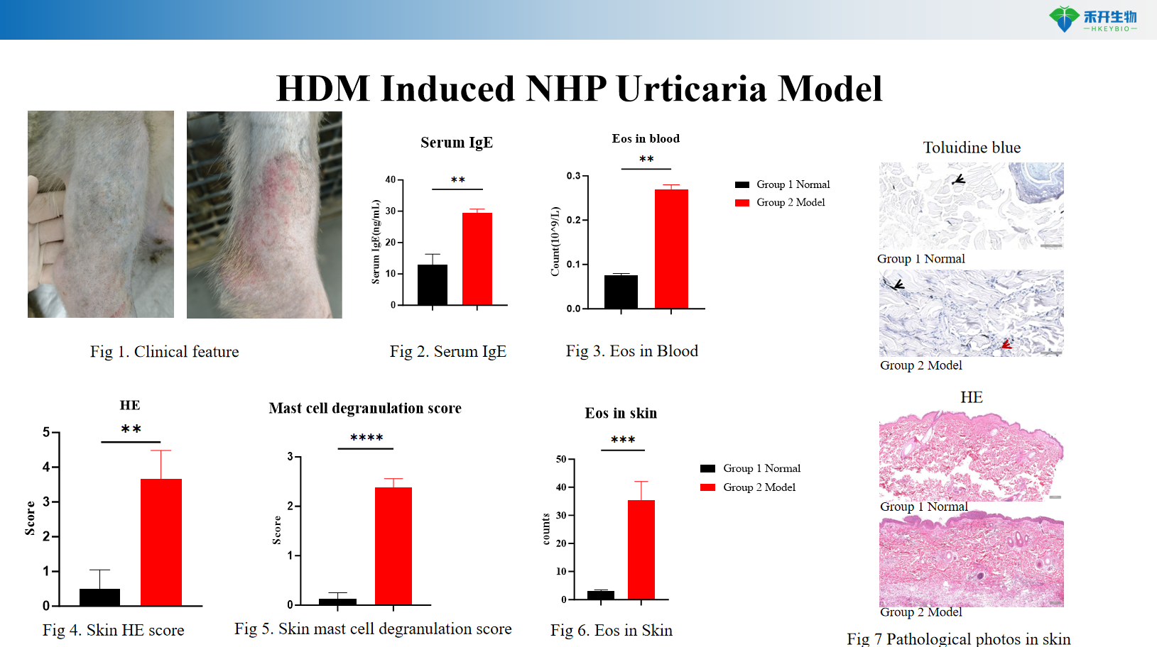 HDM Induced NHP Urticaria Model01 1
