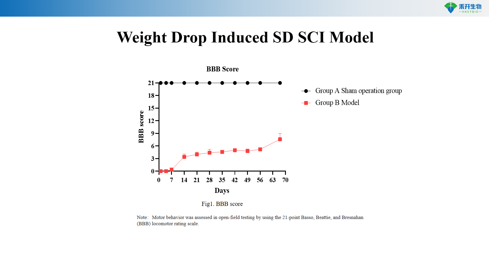 Weight Drop Induced SD SCI Model 9049588646c7684220c89be650a0b6e8