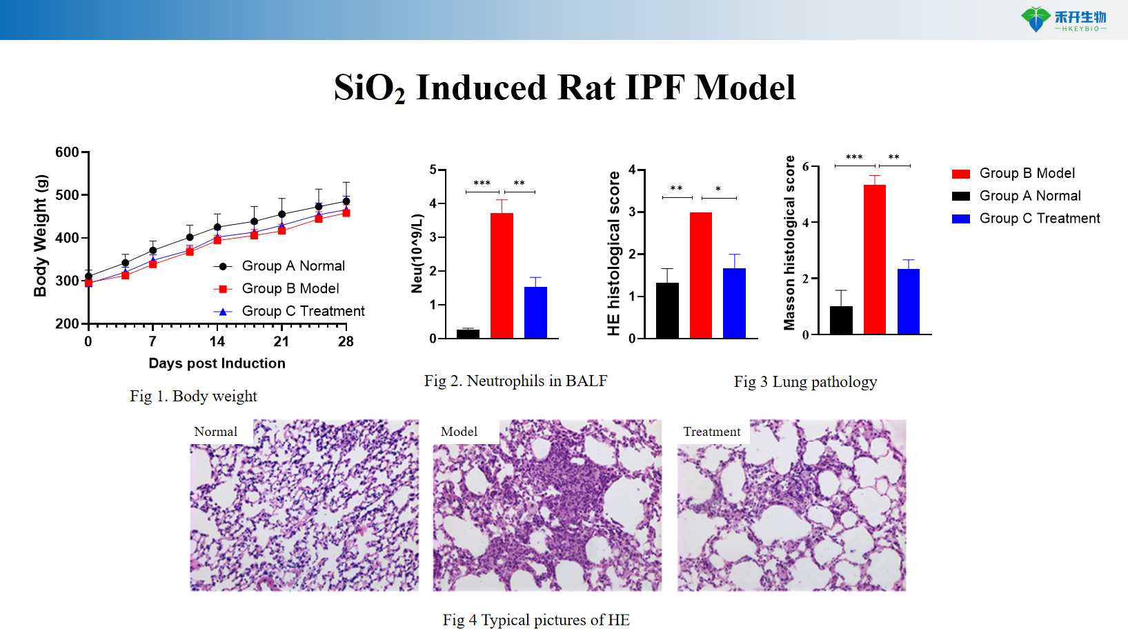 SiO2 Induced Rat IPF Model 4