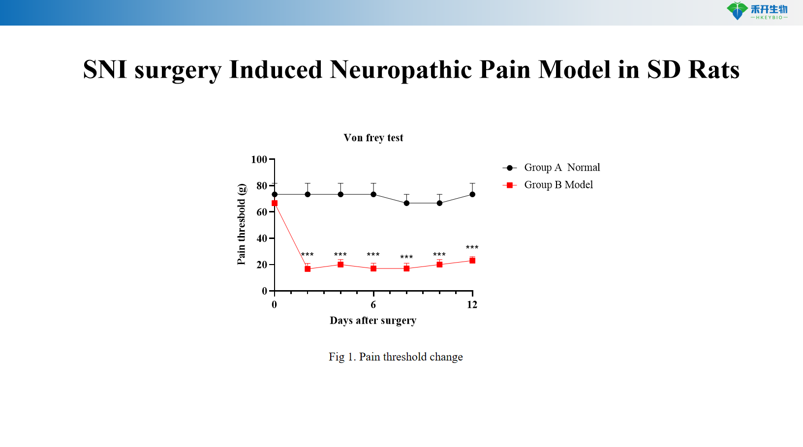 SNI surgery Induced Neuropathic Pain Model in SD Rats 星米
