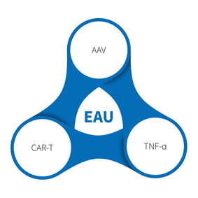 葡萄膜炎 (EAU-EIU) -NHP