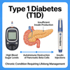 小鼠 1 型糖尿病 (T1D) 模型