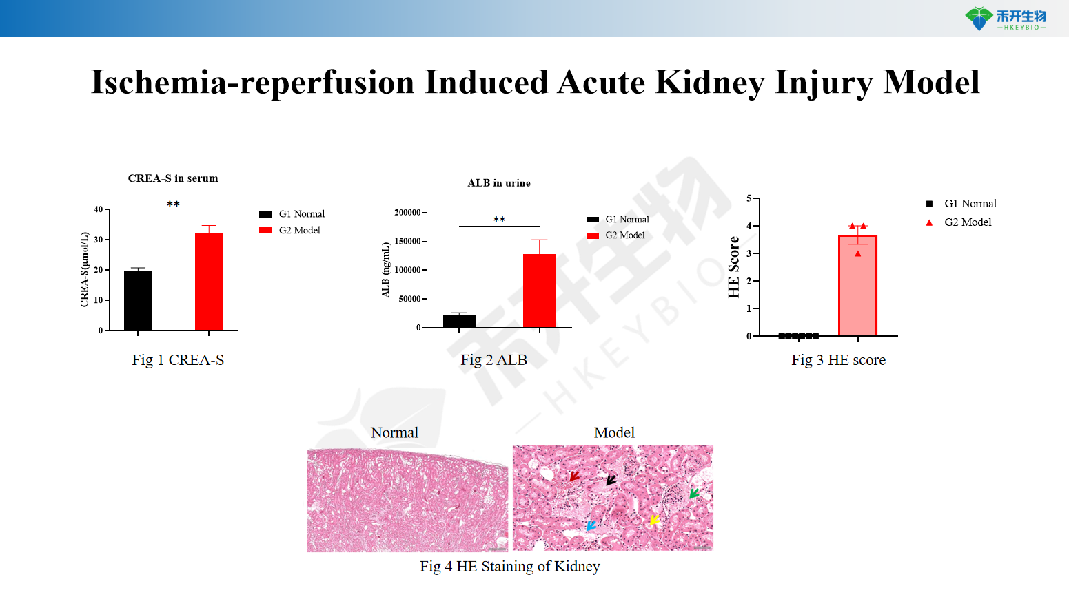 4a79fce5c373b8f50f6e5126ca732e2f