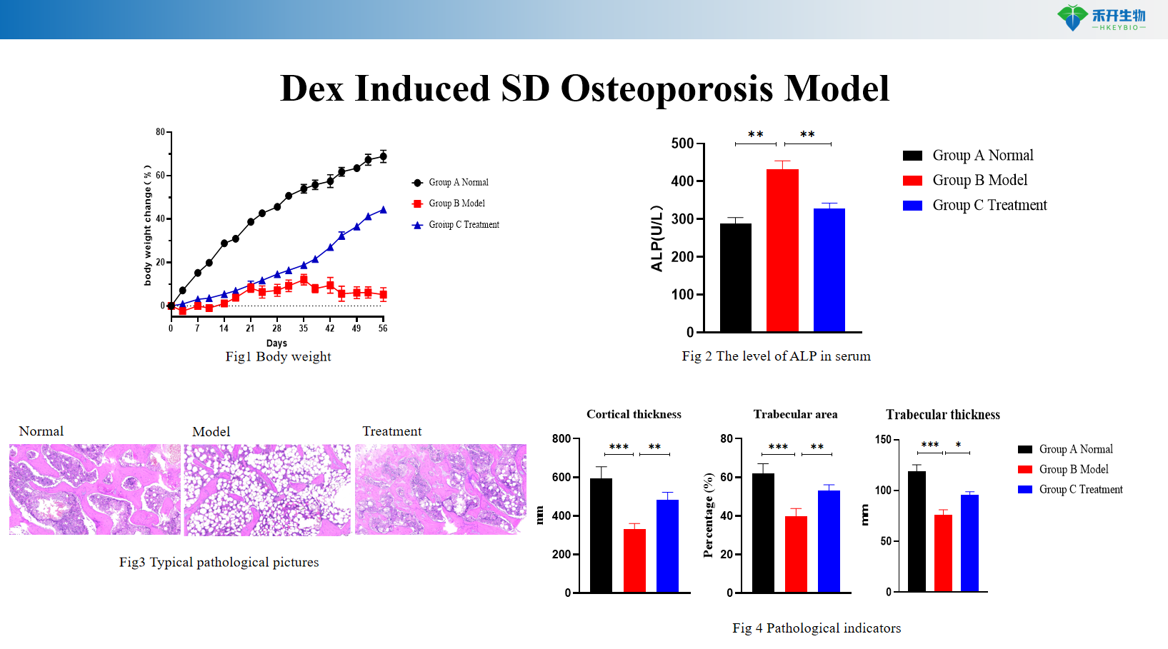 7bbb6f12961910a6627747bd33bb3682